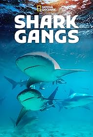 Shark Gangs (2021) watch-Shark Gangs (2021)