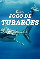 Shark Queens (2022) watch-Shark Queens (2022)