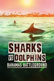 Sharks vs. Dolphins: Bahamas Battleground (2023) watch-Sharks vs. Dolphins: Bahamas Battleground (2023)