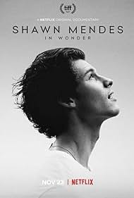 Shawn Mendes: In Wonder (2020) watch-Shawn Mendes: In Wonder (2020)