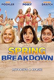 watch-Spring Breakdown (2009)