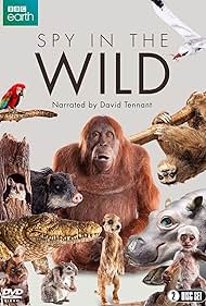 Spy in the Wild (2017) watch-Spy in the Wild (2017)