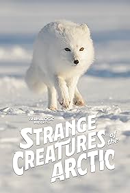Strange Creatures of the Arctic (2022) watch-Strange Creatures of the Arctic (2022)