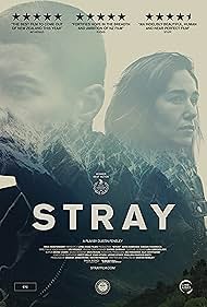 Stray (2018) watch-Stray (2018)