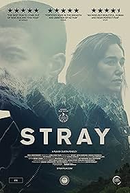 watch-Stray (2018)