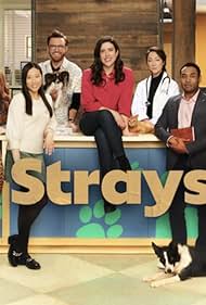 watch-Strays (2021)