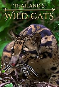 Thailand's Wild Cats (2021) watch-Thailand's Wild Cats (2021)