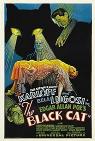 watch-The Black Cat (1934)