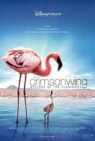 watch-The Crimson Wing: Mystery of the Flamingos (2009)