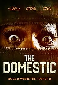The Domestic (2022) watch-The Domestic (2022)