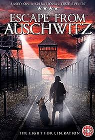 watch-The Escape from Auschwitz (2020)