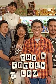 The Family Law (2016) watch-The Family Law (2016)
