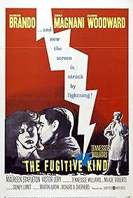 The Fugitive Kind (1960) watch-The Fugitive Kind (1960)