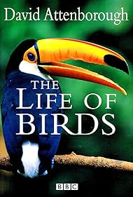 watch-The Life of Birds (1998)