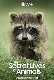 watch-The Secret Lives of Animals (2024)