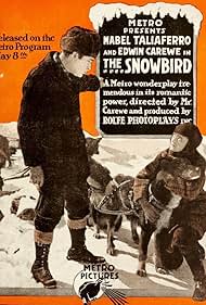 The Snowbird (1916) watch-The Snowbird (1916)