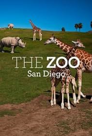 watch-The Zoo: San Diego (2019)
