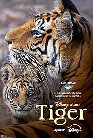 watch-Tiger (2024)