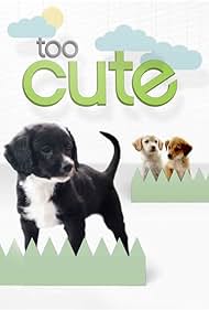 Too Cute! (2011) watch-Too Cute! (2011)
