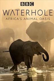 watch-Waterhole: Africa's Animal Oasis (2020)
