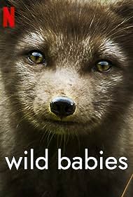 watch-Wild Babies (2022)