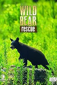 Wild Bear Rescue (2017) watch-Wild Bear Rescue (2017)