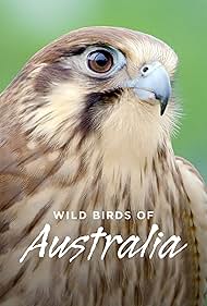 watch-Wild Birds of Australia (2016)