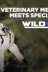 watch-Wild Ops (2017)