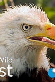 watch-Wild Wild East (2016)