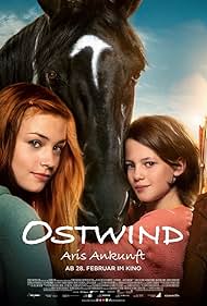 Windstorm 4: Ari's Arrival (2019) watch-Windstorm 4: Ari's Arrival (2019)