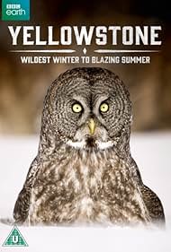 watch-Yellowstone: Wildest Winter to Blazing Summer (2017)